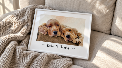 How a Pet Memorial Portrait Preserves a Beloved Companion