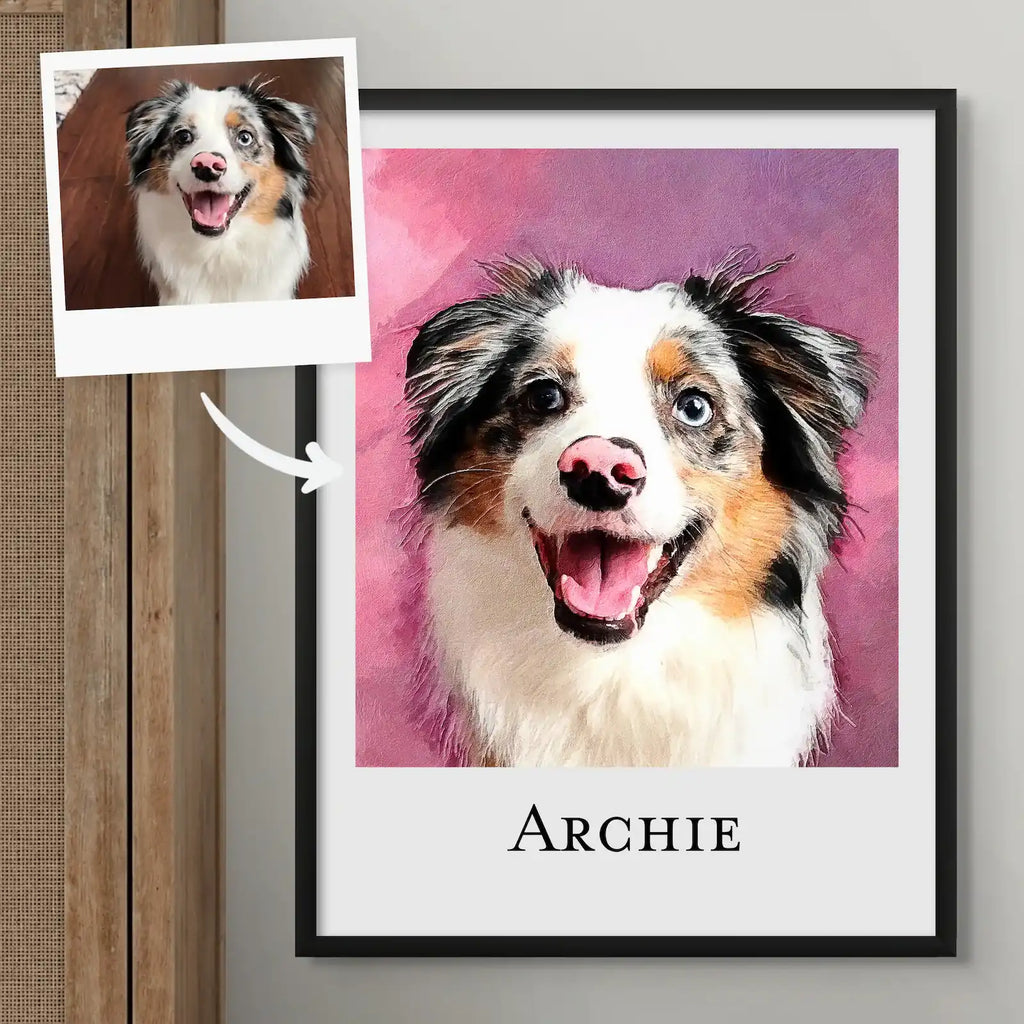 Oil-style portrait of a smiling Australian Shepherd named Archie on pink, framed in matte black, beside its photo