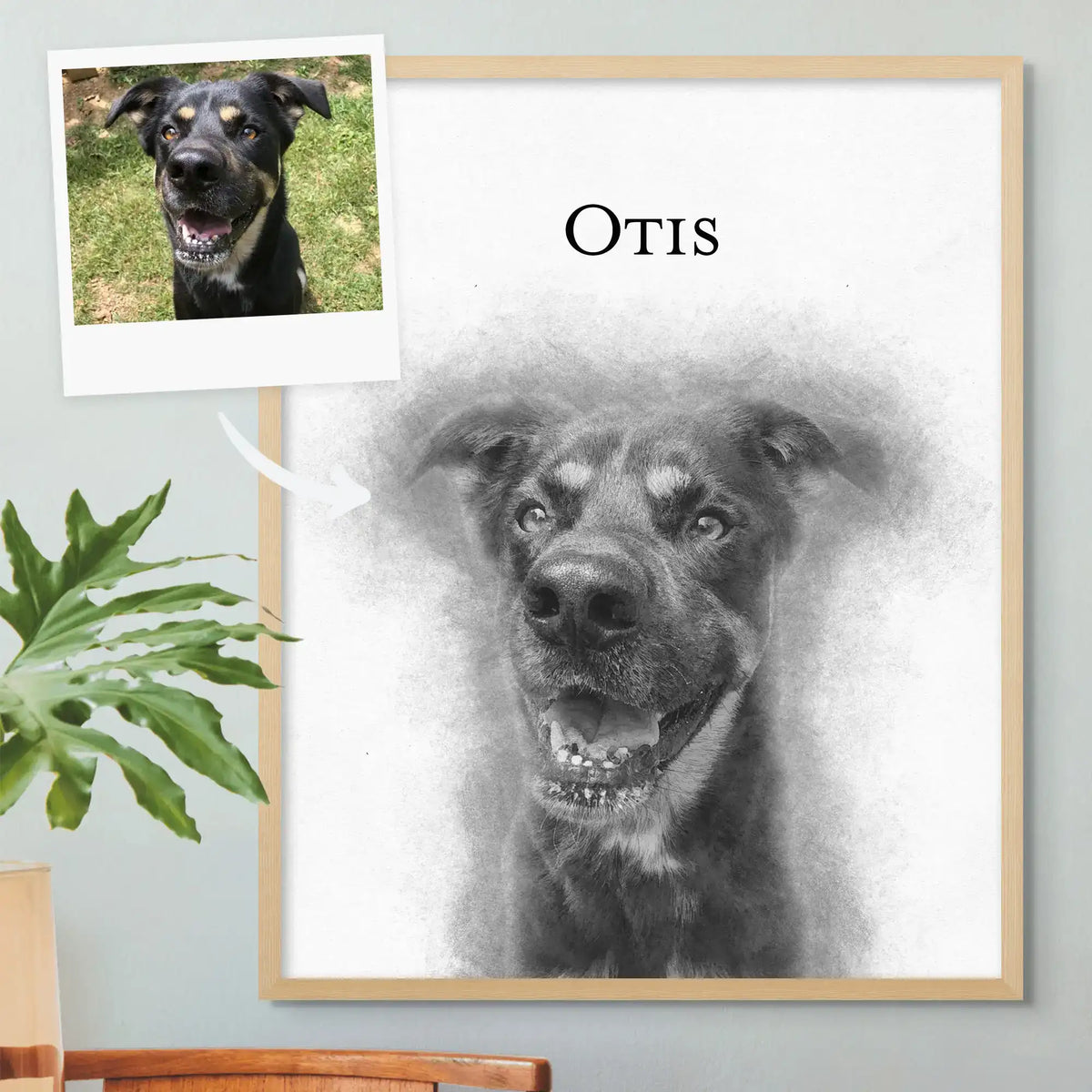 Sketch-style portrait of a dog named Otis in a light wood frame, with the reference photo pinned beside it