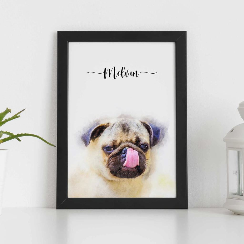 Watercolor-style portrait of a pug with its tongue out, named Melvin, in a black frame on a shelf